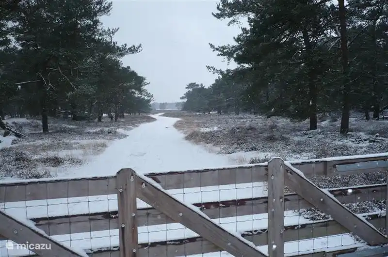 ..... Vom Garten können Sie direkt in den Wald gehen