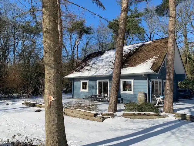 villa, Norg, Drenthe, Niederlande - l'Oiseau Bleu (Z11 Norg)