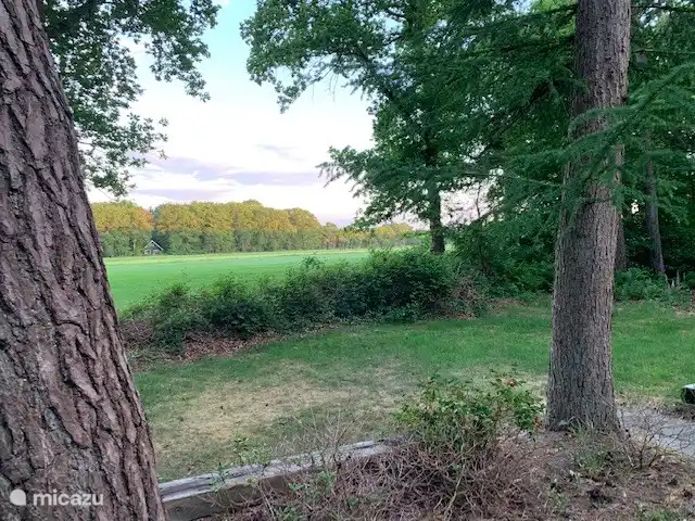 Blick von der vorderen Terrasse Sommer