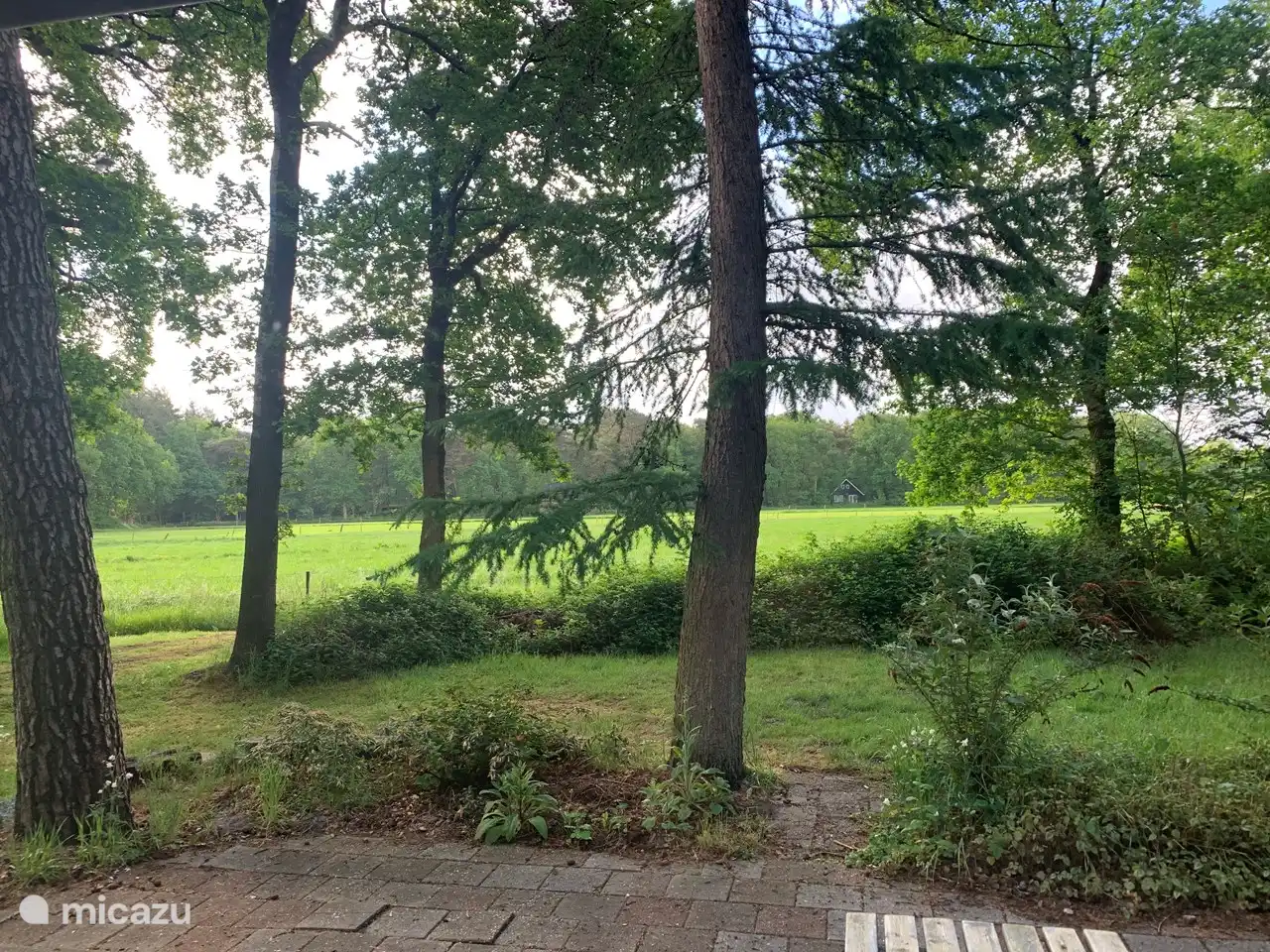 Blick von der vorderen Terrasse Richtung Schildmeer