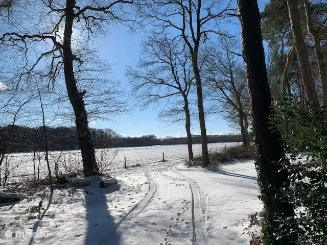 Blick von der Auffahrt auf die Wiese davor, im Winter