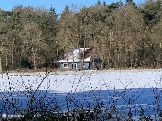 Blick vom Schildmeer im Winter