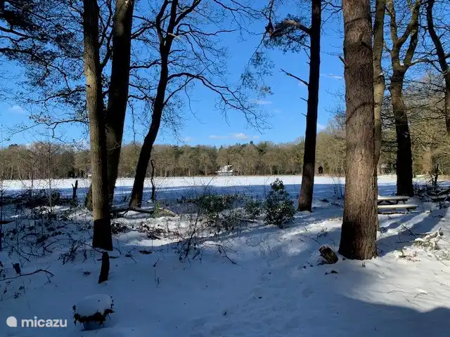 Blick auf das Haus aus der Ferne vom Schildmeer.im Winter