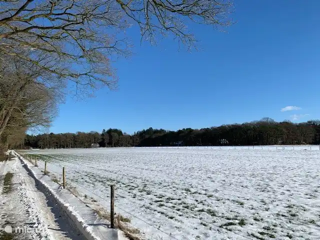 Blick vom Roehoornweg am Anfang des Karrepad in Richtung Donderen.