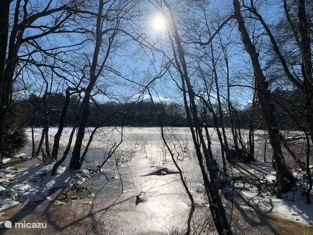 Schiffsee im Winter.