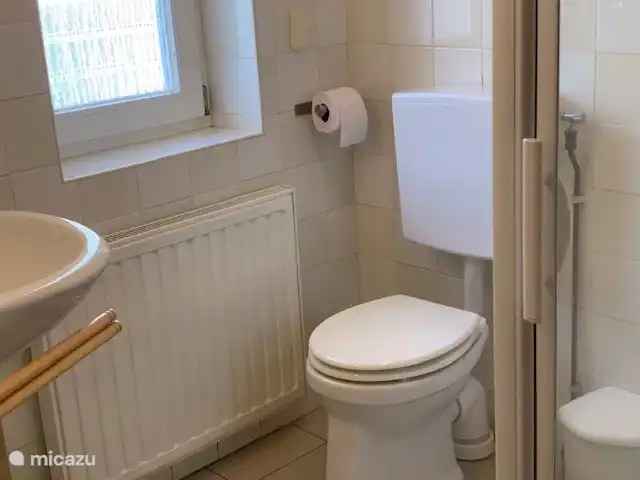 Badezimmer im Erdgeschoss mit ebenerdiger Dusche, WC, Waschbecken und Sauna.