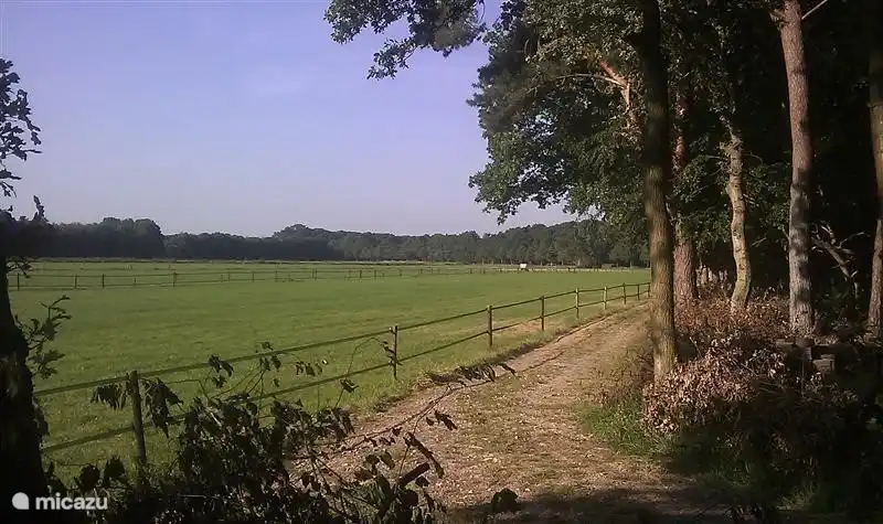 Freie Sicht nach vorne in Richtung Weide und Norg