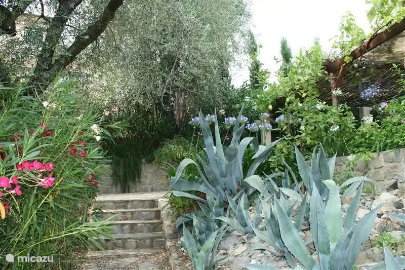 Chemin vers la maison