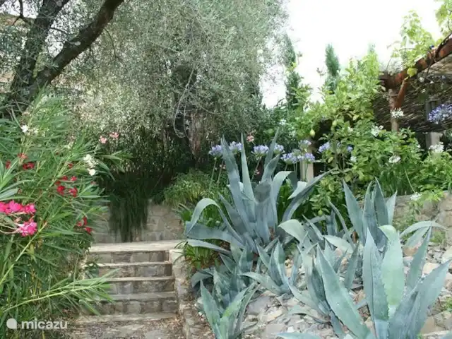 Villa Dolceacqua | Italie, Ligurie, Dolceacqua - villa Chemin vers la maison