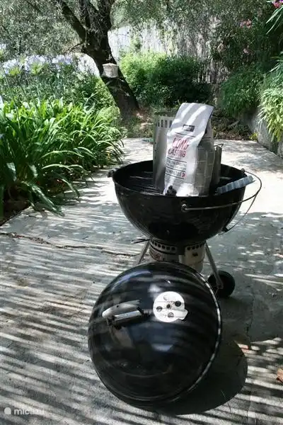 Barbecue Weber