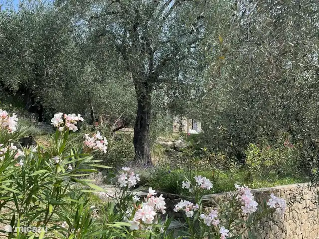 Villa Dolceacqua | Italie, Ligurie, Dolceacqua - villa