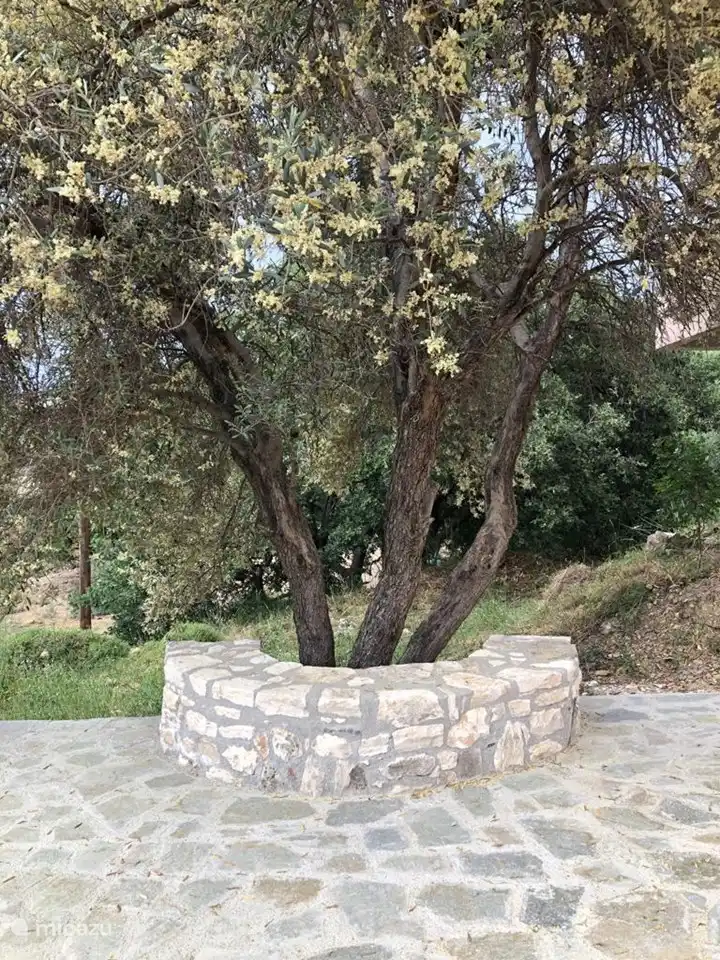 To sit, enjoy the view and relax (1)