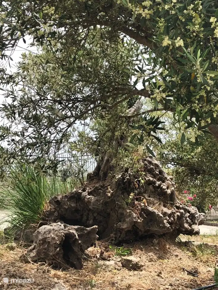 To sit, enjoy the view and relax (2)