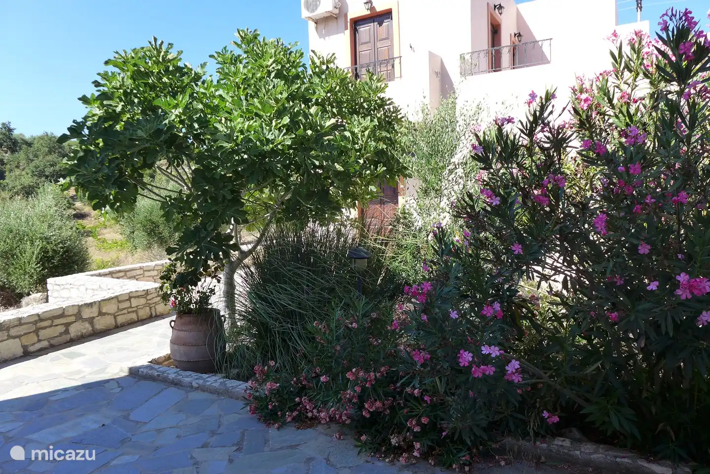 The garden between both villas (1)