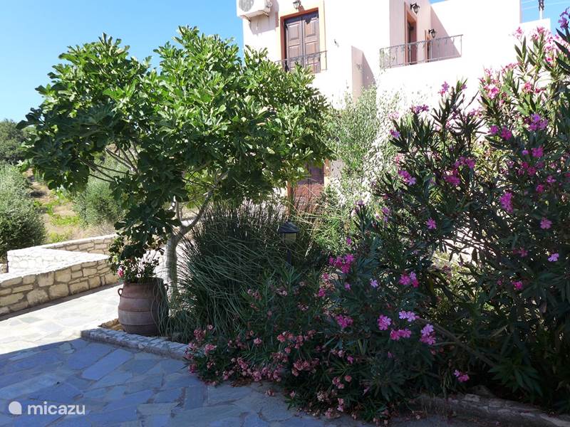 Ferienwohnung Griechenland, Kreta, Rethymnon Villa Oros-Villas