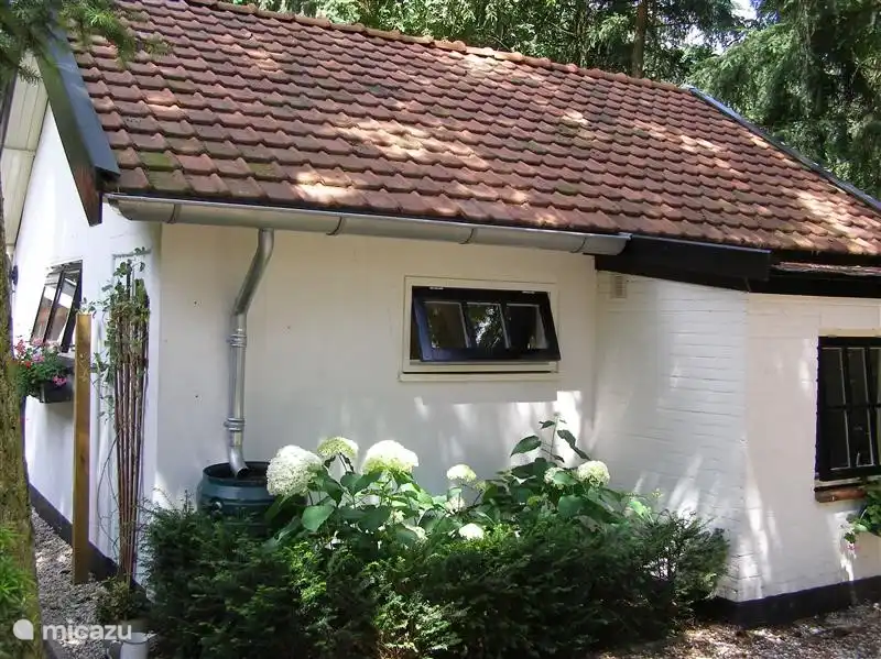 ferienhaus, Nunspeet, Gelderland, Niederlande - Der Weissen Stein