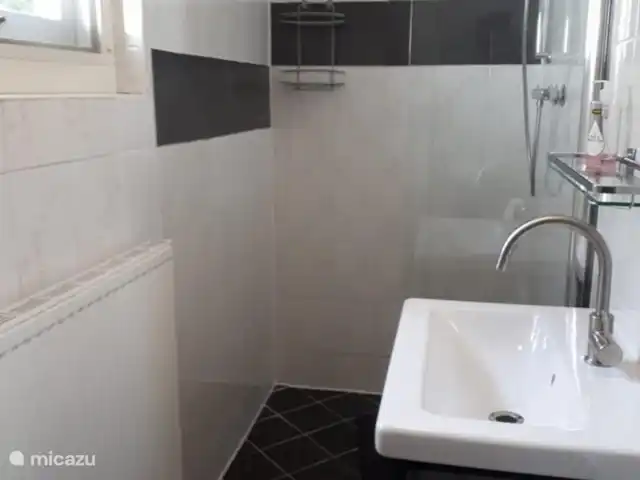 la piedra blanca en Países Bajos, Güeldres, Nunspeet - casa vacacional baño.