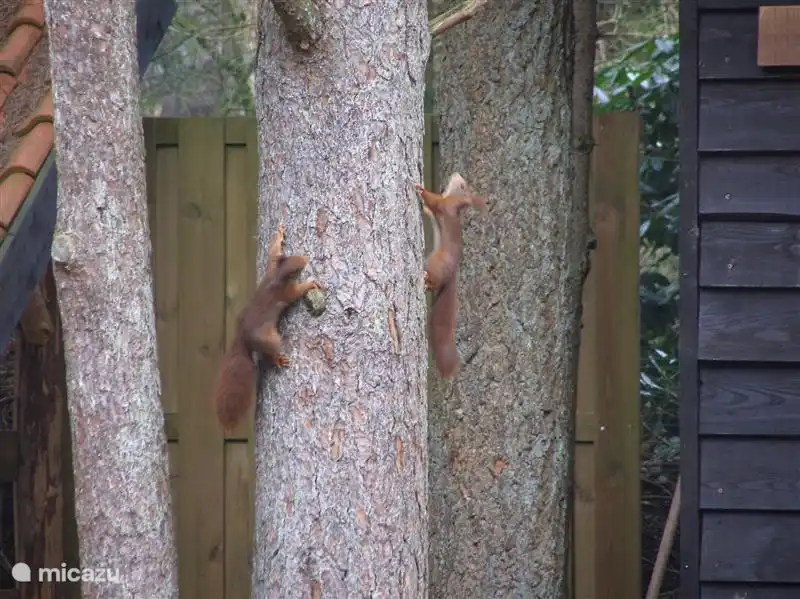 Im Garten gesichtet.