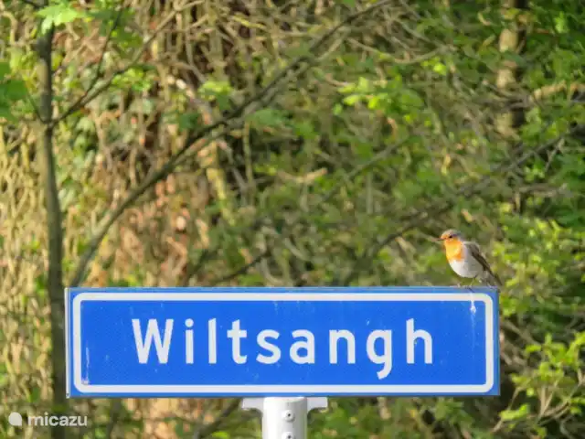 la piedra blanca en Países Bajos, Güeldres, Nunspeet - casa vacacional