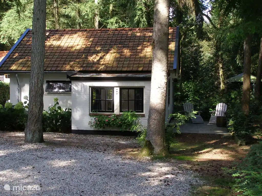 Hier mit Blick auf die rückwärtige Terrasse.